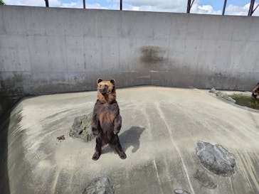 阿蘇カドリー・ドミニオンに投稿された画像（2024/7/6）