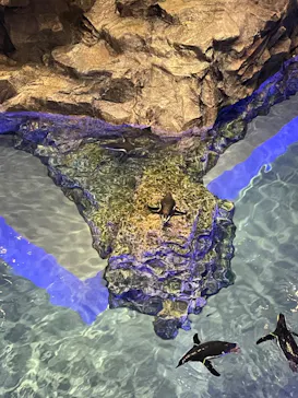 すみだ水族館に投稿された画像（2024/7/6）