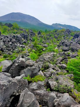 鬼押出し園に投稿された画像（2024/7/6）