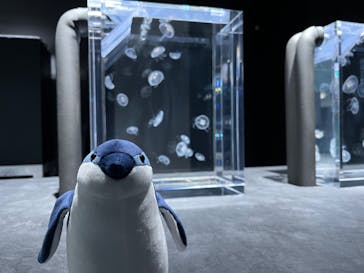 AOAO SAPPOROに投稿された画像（2024/7/6）