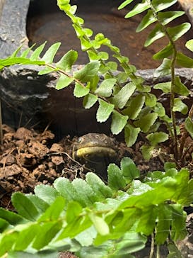 AOAO SAPPOROに投稿された画像（2024/7/6）