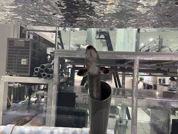 AOAO SAPPOROに投稿された画像（2024/7/6）