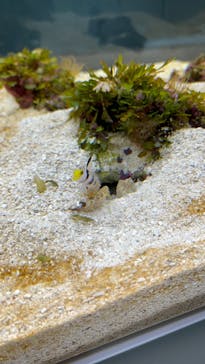 AOAO SAPPOROに投稿された画像（2024/7/6）