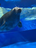サンシャイン水族館に投稿された画像（2024/7/6）