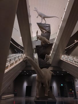 福井県立恐竜博物館に投稿された画像（2024/7/6）