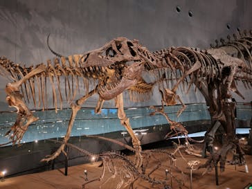 福井県立恐竜博物館に投稿された画像（2024/7/6）