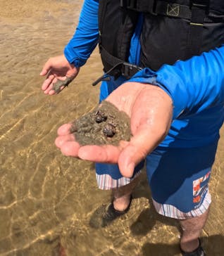 西表島 ADVENTURE PiPi（アドベンチャーピピ）に投稿された画像（2024/7/6）