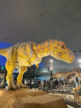 福井県立恐竜博物館に投稿された画像（2024/7/6）