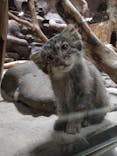 恩賜上野動物園に投稿された画像（2024/7/6）