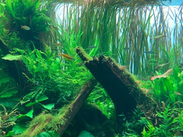 AOAO SAPPOROに投稿された画像（2024/7/6）