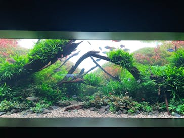 AOAO SAPPOROに投稿された画像（2024/7/6）