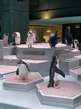 AOAO SAPPOROに投稿された画像（2024/7/6）