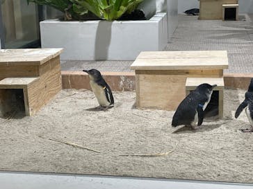 AOAO SAPPOROに投稿された画像（2024/7/6）