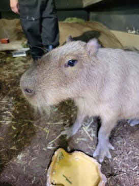 マクセル アクアパーク品川に投稿された画像（2024/7/6）