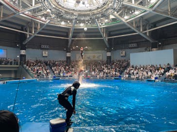 マクセル アクアパーク品川に投稿された画像（2024/7/6）