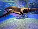 すみだ水族館に投稿された画像（2024/7/7）