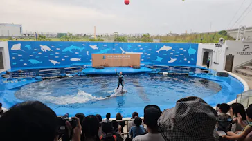 仙台うみの杜水族館に投稿された画像（2024/7/6）