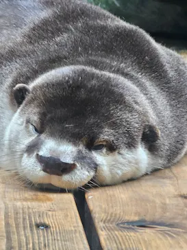 仙台うみの杜水族館に投稿された画像（2024/7/6）