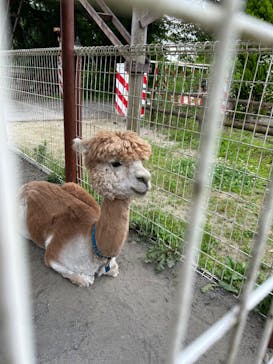 那須高原りんどう湖ファミリー牧場に投稿された画像（2024/7/6）