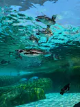 天王寺動物園に投稿された画像（2024/7/7）
