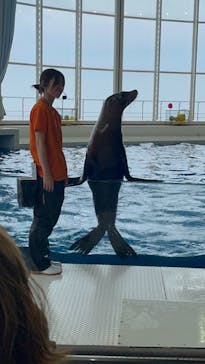 アクアワールド茨城県大洗水族館に投稿された画像（2024/7/6）