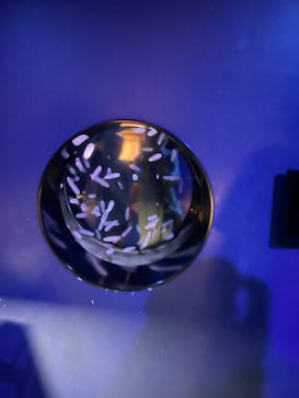 アクアワールド茨城県大洗水族館に投稿された画像（2024/7/6）