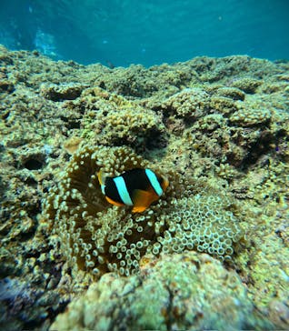 沖縄マリンサービス碧に投稿された画像（2024/7/6）