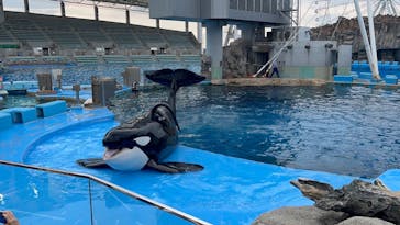名古屋港水族館に投稿された画像（2024/7/6）