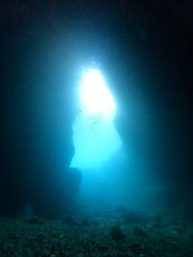 武藤潜水に投稿された画像（2024/7/6）