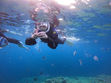 武藤潜水に投稿された画像（2024/7/6）