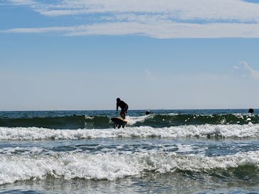 ROYALSURF磯の浦（ロイヤルサーフ）に投稿された画像（2024/7/7）