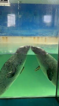 下田海中水族館に投稿された画像（2024/7/7）