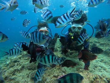 沖縄マリンサービス碧に投稿された画像（2024/7/7）