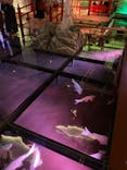 AQUARIUM × ART　atoaに投稿された画像（2024/7/7）