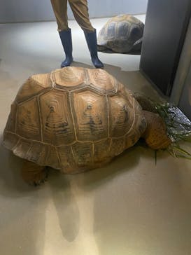 AQUARIUM × ART　atoaに投稿された画像（2024/7/7）