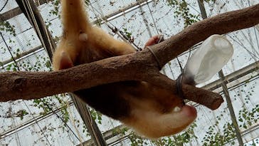 神戸どうぶつ王国に投稿された画像（2024/7/7）