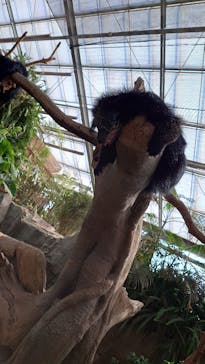 神戸どうぶつ王国に投稿された画像（2024/7/7）