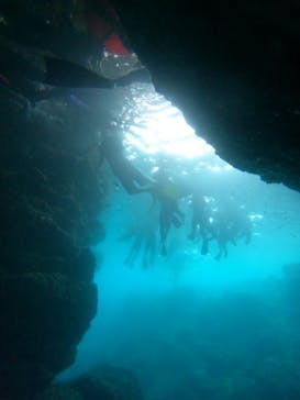 武藤潜水に投稿された画像（2024/7/7）