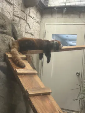 天王寺動物園に投稿された画像（2024/7/7）