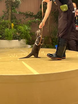 マクセル アクアパーク品川に投稿された画像（2024/7/7）