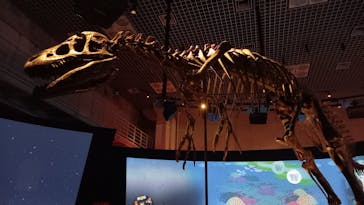 国立科学博物館に投稿された画像（2024/7/7）