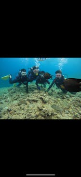 武藤潜水に投稿された画像（2024/7/7）