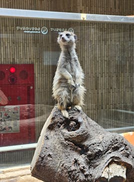 恩賜上野動物園に投稿された画像（2024/7/7）