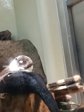 仙台うみの杜水族館に投稿された画像（2024/7/7）