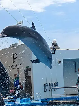 仙台うみの杜水族館に投稿された画像（2024/7/7）
