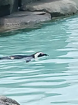 仙台うみの杜水族館に投稿された画像（2024/7/7）
