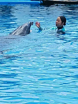 仙台うみの杜水族館に投稿された画像（2024/7/7）