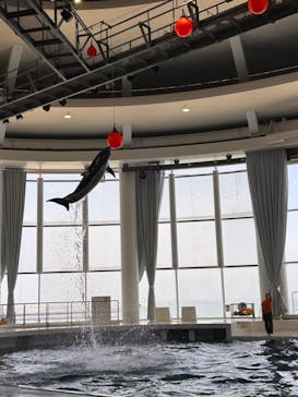 アクアワールド茨城県大洗水族館に投稿された画像（2024/7/7）