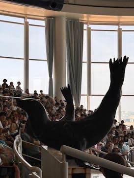 アクアワールド茨城県大洗水族館に投稿された画像（2024/7/7）