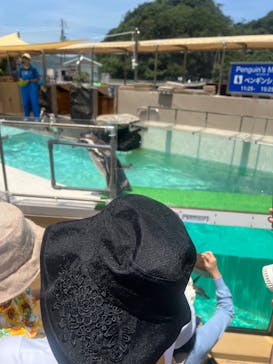 下田海中水族館に投稿された画像（2024/7/7）